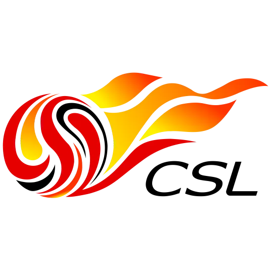 中超 天津津门虎vs武汉三镇20240816