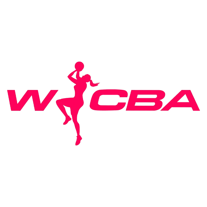 WCBA 石家庄英励vs山东赤水河酒20250123